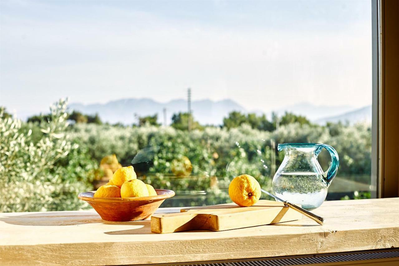 Nikolaou Art Residence Aegina Экстерьер фото