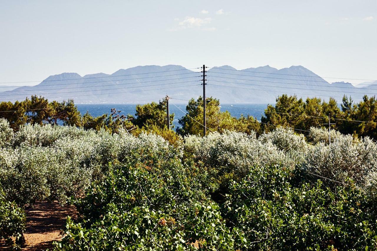 Nikolaou Art Residence Aegina Экстерьер фото